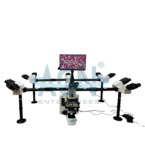 DECA HEAD MICROSCOPE